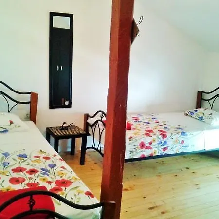 Guest The Old House Guest house Plovdiv